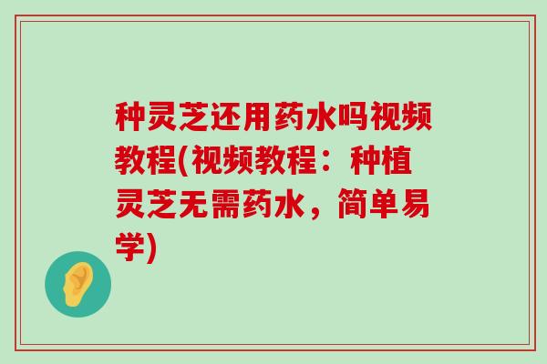 种灵芝还用药水吗视频教程(视频教程：种植灵芝无需药水，简单易学)