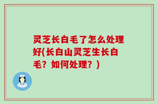 灵芝长白毛了怎么处理好(长白山灵芝生长白毛？如何处理？)