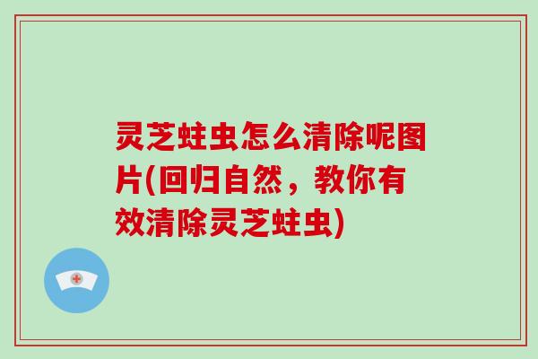 灵芝蛀虫怎么清除呢图片(回归自然，教你有效清除灵芝蛀虫)