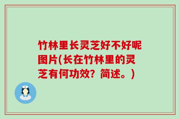 竹林里长灵芝好不好呢图片(长在竹林里的灵芝有何功效？简述。)