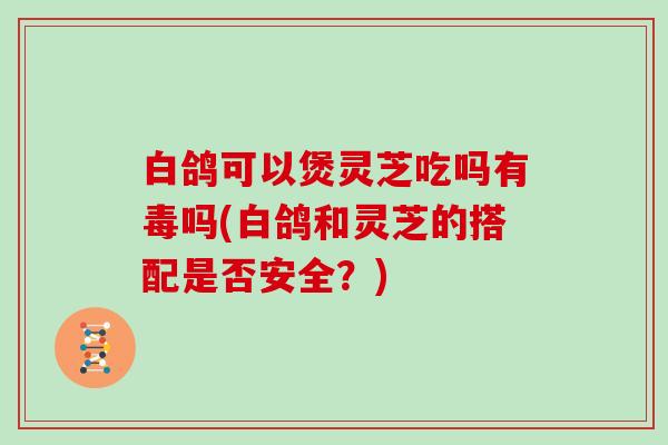 白鸽可以煲灵芝吃吗有毒吗(白鸽和灵芝的搭配是否安全？)