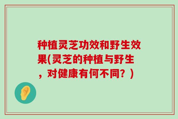 种植灵芝功效和野生效果(灵芝的种植与野生，对健康有何不同？)