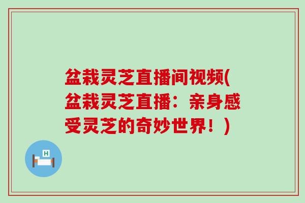 盆栽灵芝直播间视频(盆栽灵芝直播：亲身感受灵芝的奇妙世界！)