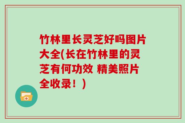 竹林里长灵芝好吗图片大全(长在竹林里的灵芝有何功效 精美照片全收录！)