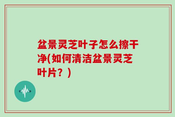 盆景灵芝叶子怎么擦干净(如何清洁盆景灵芝叶片？)