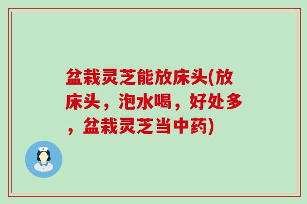 盆栽灵芝能放床头(放床头，泡水喝，好处多，盆栽灵芝当)