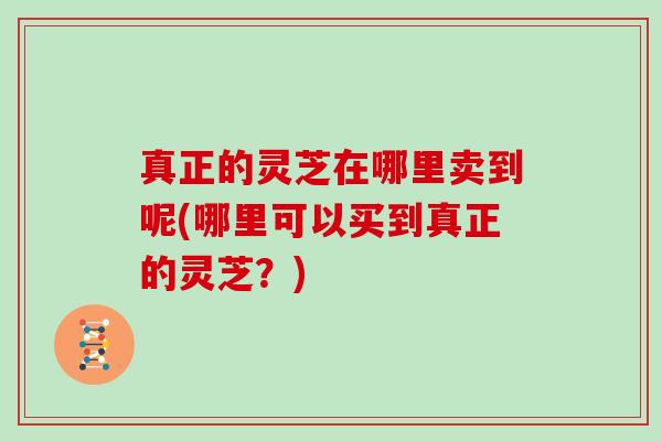 真正的灵芝在哪里卖到呢(哪里可以买到真正的灵芝？)