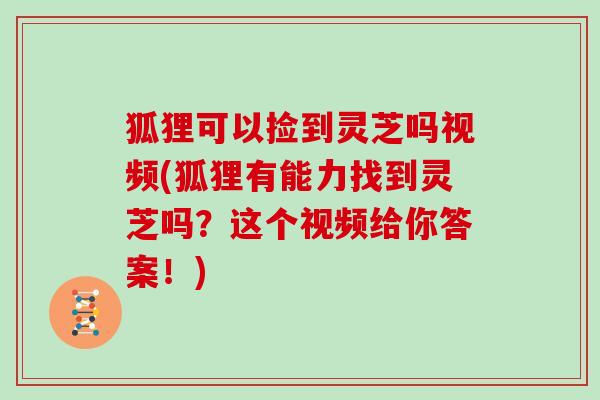 狐狸可以捡到灵芝吗视频(狐狸有能力找到灵芝吗？这个视频给你答案！)