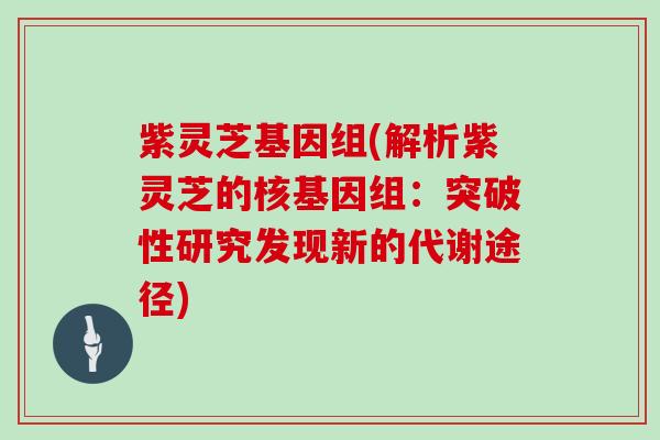 紫灵芝基因组(解析紫灵芝的核基因组：突破性研究发现新的代谢途径)