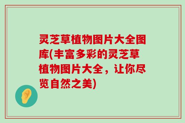 灵芝草植物图片大全图库(丰富多彩的灵芝草植物图片大全，让你尽览自然之美)