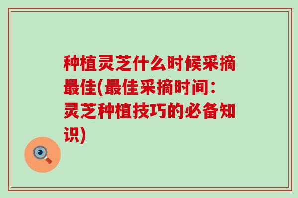 种植灵芝什么时候采摘佳(佳采摘时间：灵芝种植技巧的必备知识)