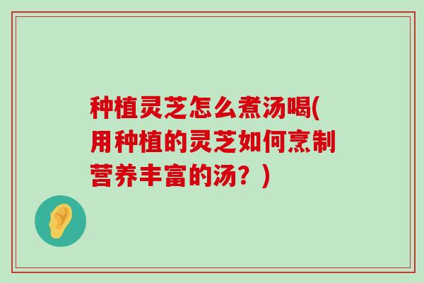 种植灵芝怎么煮汤喝(用种植的灵芝如何烹制营养丰富的汤？)