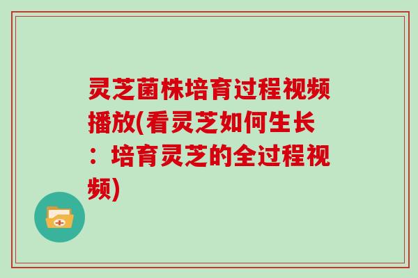 灵芝菌株培育过程视频播放(看灵芝如何生长：培育灵芝的全过程视频)