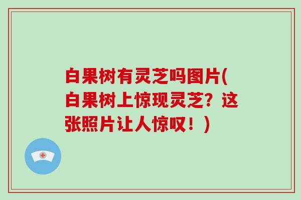 白果树有灵芝吗图片(白果树上惊现灵芝？这张照片让人惊叹！)