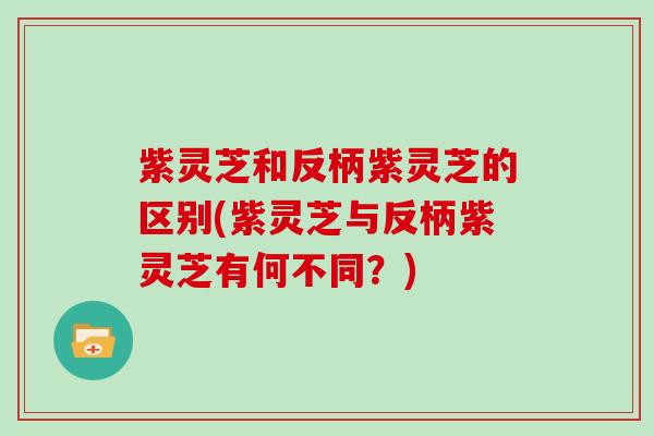 紫灵芝和反柄紫灵芝的区别(紫灵芝与反柄紫灵芝有何不同？)