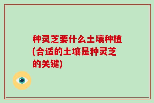 种灵芝要什么土壤种植(合适的土壤是种灵芝的关键)