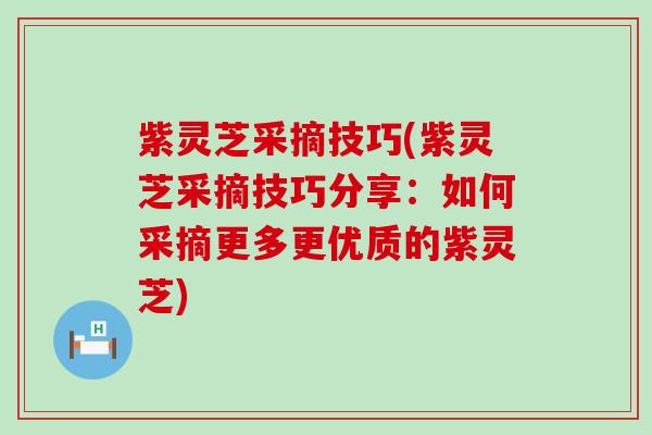 紫灵芝采摘技巧(紫灵芝采摘技巧分享：如何采摘更多更优质的紫灵芝)