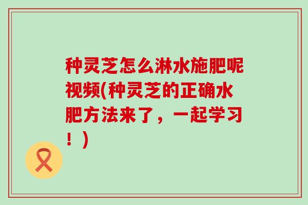 种灵芝怎么淋水施肥呢视频(种灵芝的正确水肥方法来了，一起学习！)