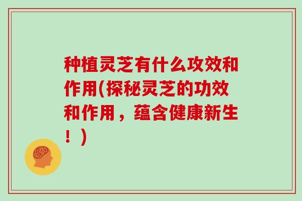 种植灵芝有什么攻效和作用(探秘灵芝的功效和作用，蕴含健康新生！)