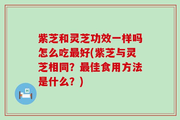 紫芝和灵芝功效一样吗怎么吃好(紫芝与灵芝相同？佳食用方法是什么？)