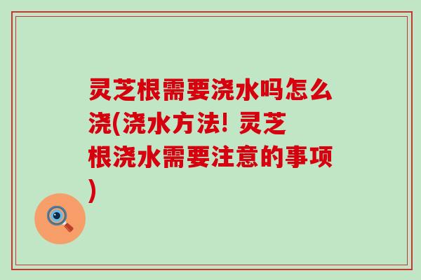 灵芝根需要浇水吗怎么浇(浇水方法! 灵芝根浇水需要注意的事项)