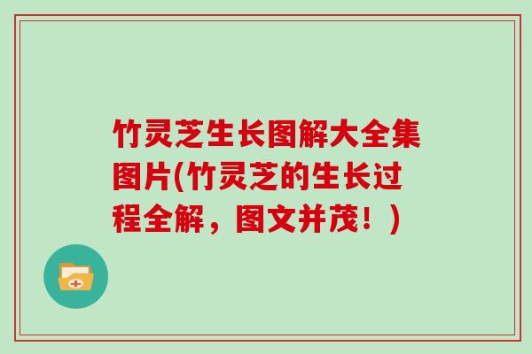 竹灵芝生长图解大全集图片(竹灵芝的生长过程全解，图文并茂！)