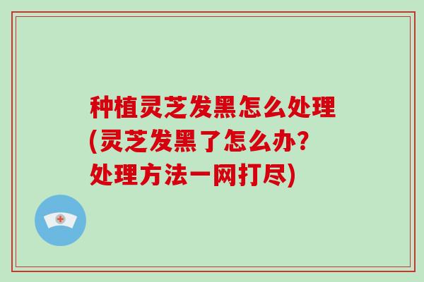 种植灵芝发黑怎么处理(灵芝发黑了怎么办？处理方法一网打尽)