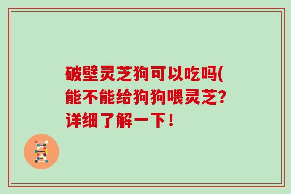 破壁灵芝狗可以吃吗(能不能给狗狗喂灵芝？详细了解一下！