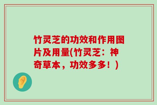 竹灵芝的功效和作用图片及用量(竹灵芝：神奇草本，功效多多！)