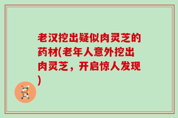 老汉挖出疑似肉灵芝的药材(老年人意外挖出肉灵芝，开启惊人发现)