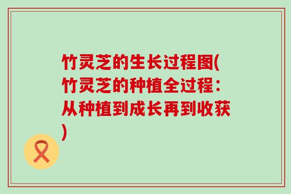 竹灵芝的生长过程图(竹灵芝的种植全过程：从种植到成长再到收获)