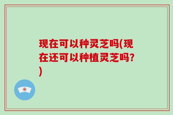 现在可以种灵芝吗(现在还可以种植灵芝吗？)