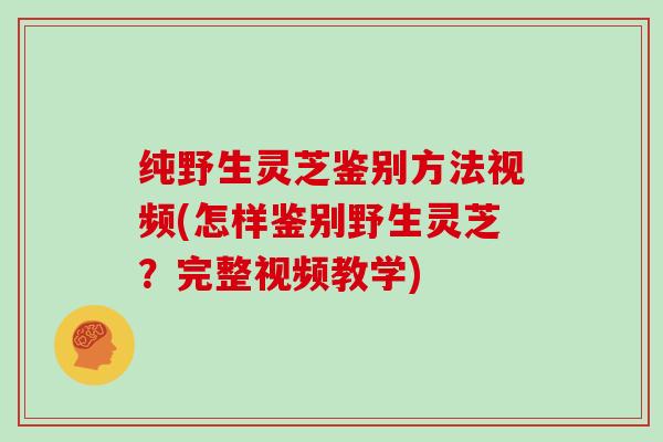 纯野生灵芝鉴别方法视频(怎样鉴别野生灵芝？完整视频教学)