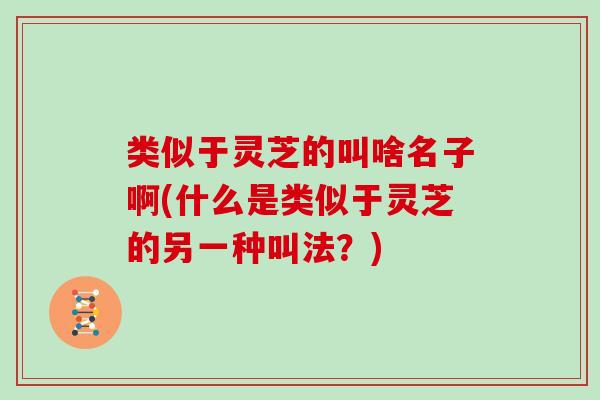 类似于灵芝的叫啥名子啊(什么是类似于灵芝的另一种叫法？)