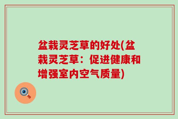 盆栽灵芝草的好处(盆栽灵芝草：促进健康和增强室内空气质量)