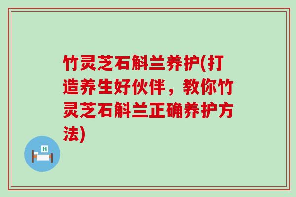 竹灵芝石斛兰养护(打造养生好伙伴，教你竹灵芝石斛兰正确养护方法)