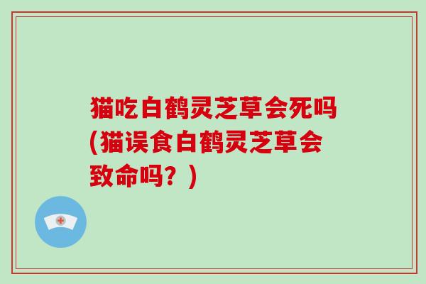 猫吃白鹤灵芝草会死吗(猫误食白鹤灵芝草会致命吗？)