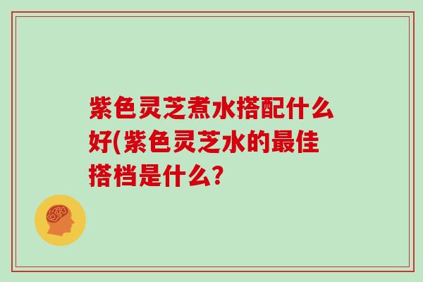 紫色灵芝煮水搭配什么好(紫色灵芝水的佳搭档是什么？