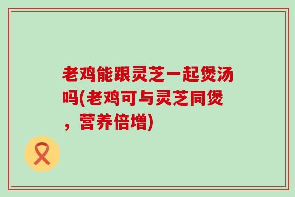 老鸡能跟灵芝一起煲汤吗(老鸡可与灵芝同煲，营养倍增)