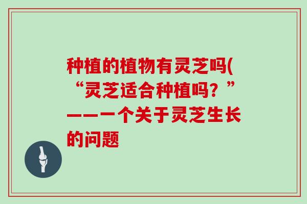 种植的植物有灵芝吗(“灵芝适合种植吗？”——一个关于灵芝生长的问题