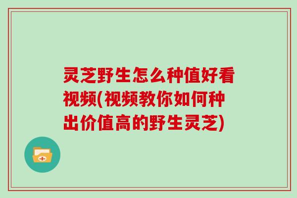 灵芝野生怎么种值好看视频(视频教你如何种出价值高的野生灵芝)