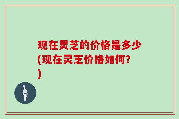 现在灵芝的价格是多少(现在灵芝价格如何？)