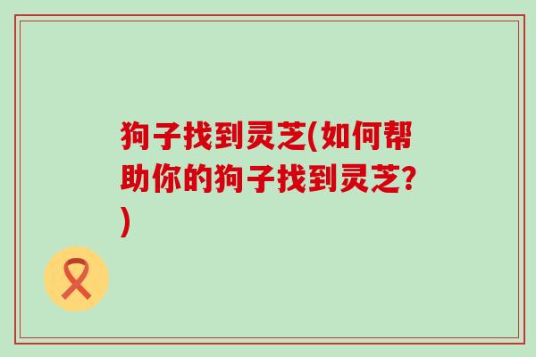 狗子找到灵芝(如何帮助你的狗子找到灵芝？)