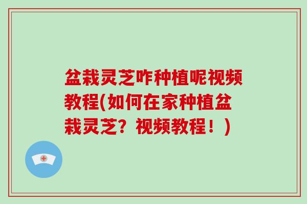 盆栽灵芝咋种植呢视频教程(如何在家种植盆栽灵芝？视频教程！)