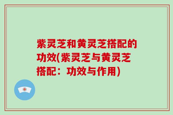 紫灵芝和黄灵芝搭配的功效(紫灵芝与黄灵芝搭配：功效与作用)