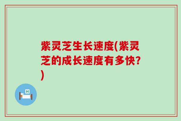 紫灵芝生长速度(紫灵芝的成长速度有多快？)