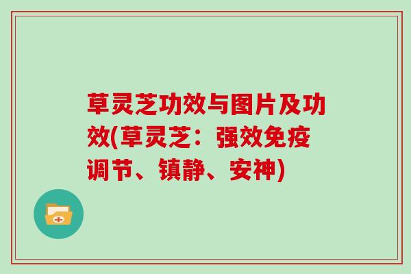 草灵芝功效与图片及功效(草灵芝：强效免疫调节、、安神)