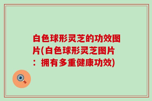 白色球形灵芝的功效图片(白色球形灵芝图片：拥有多重健康功效)