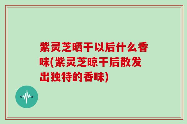 紫灵芝晒干以后什么香味(紫灵芝晾干后散发出独特的香味)