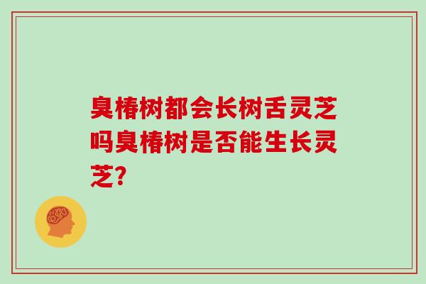 臭椿树都会长树舌灵芝吗臭椿树是否能生长灵芝？